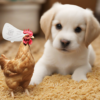 Puppy Chicken & Brown Rice Recipe – A Complete and Balanced Diet for Your Growing Pup