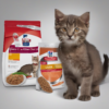 Hill’s Science Diet Kitten Liver & Chicken Entrée – A Complete & Balanced Nutrition for Growing Kittens